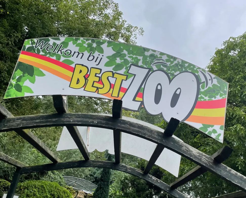 Vrijwilligersdag 31 mei 2026